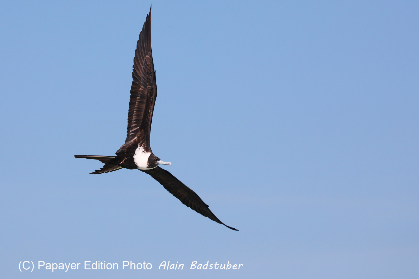 Deuxième séjour à Sarteneja, Bélize, Novembre - Décembre 2021