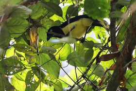 Parque Natural Metropolitano