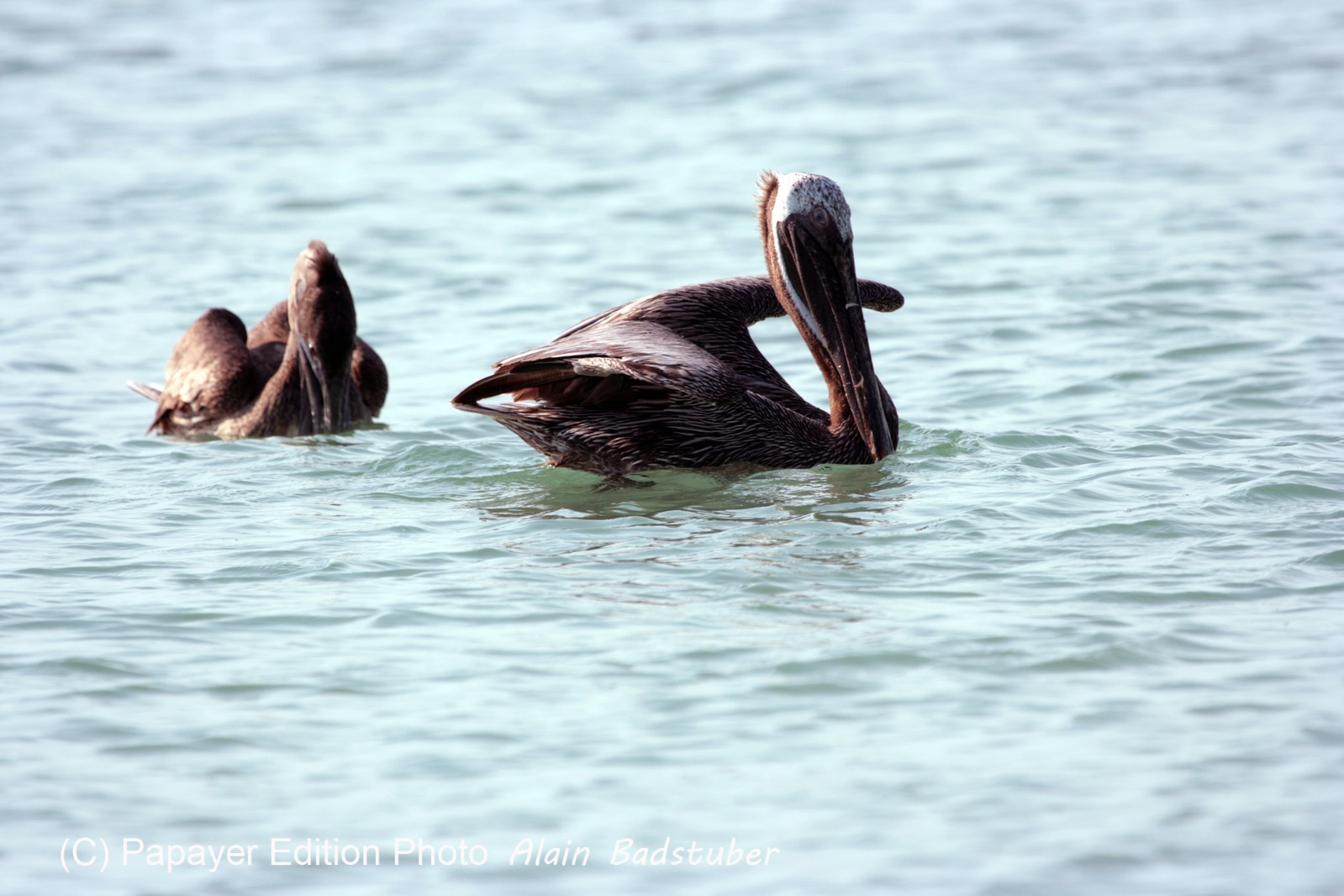 Images_Belize_2011_441