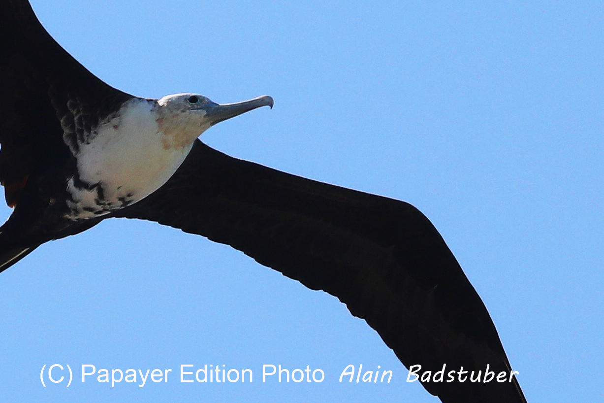Deuxième séjour à Sarteneja, Bélize, Novembre - Décembre 2021