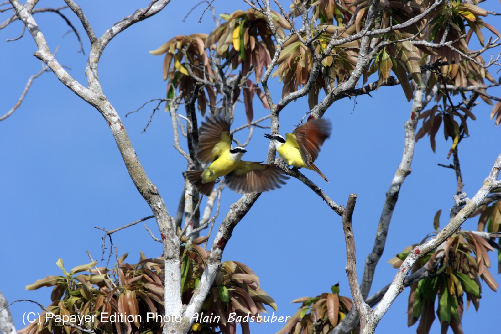 Images_Belize_2011_076