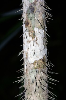 Images_Belize_2011_286