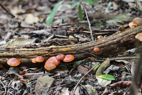 Punta Culebra Nature Center