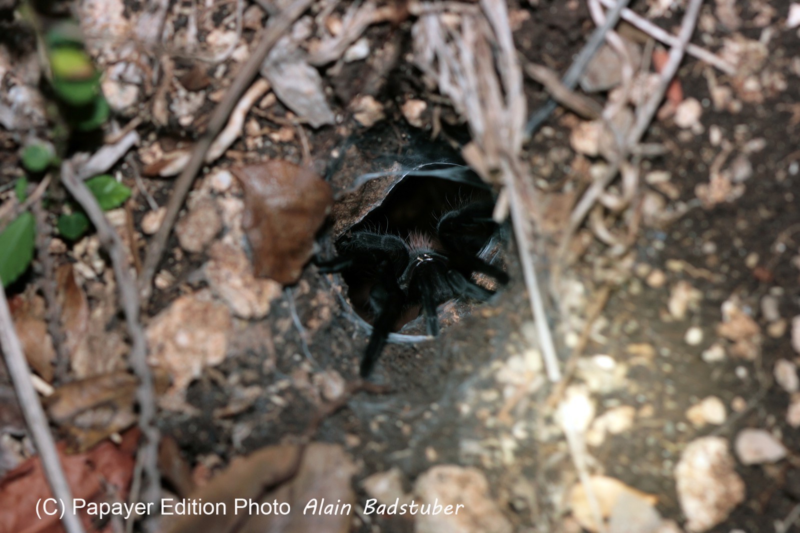 Images_Belize_2011_326