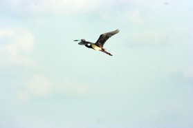 Images_Belize_2011_216