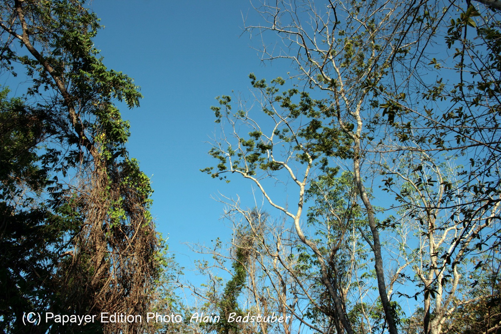 Images_Belize_2011_344