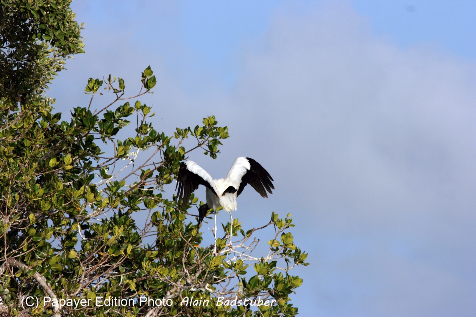 Images_Belize_2011_210