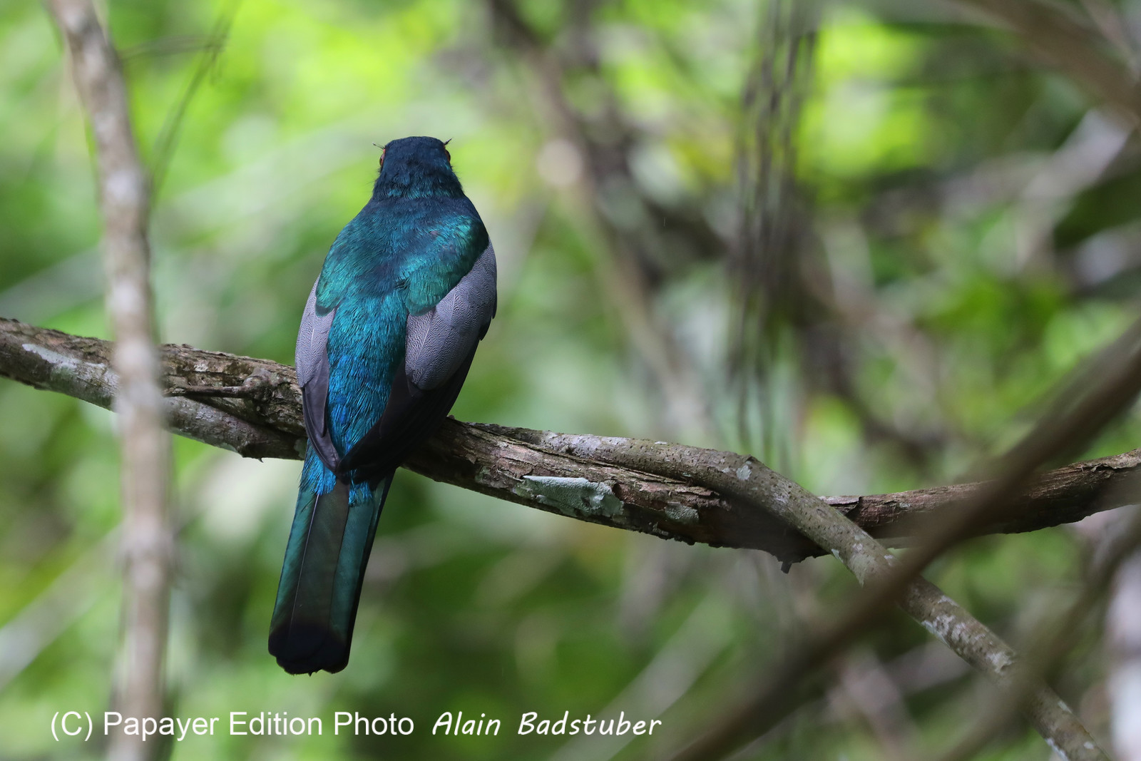 Parque Natural Metropolitano