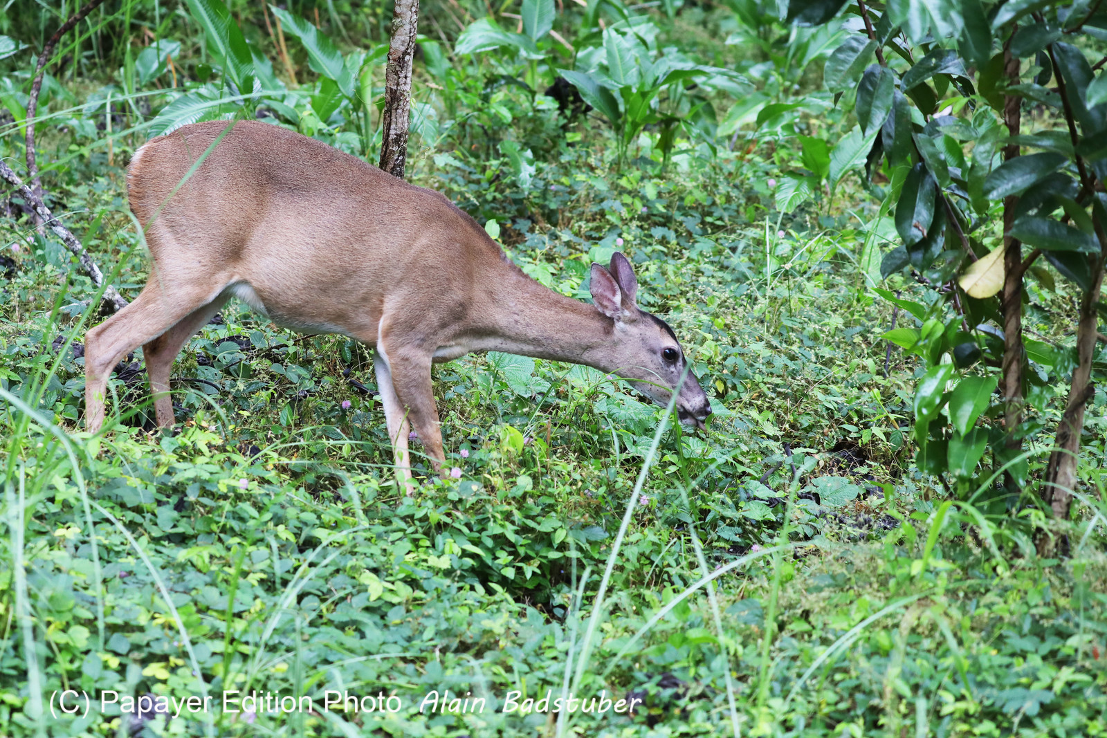 Parque Natural Metropolitano