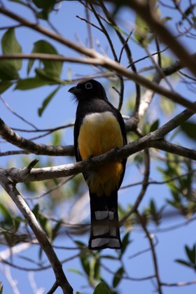 Images_Belize_2011_050