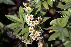 Images_Belize_2011_267