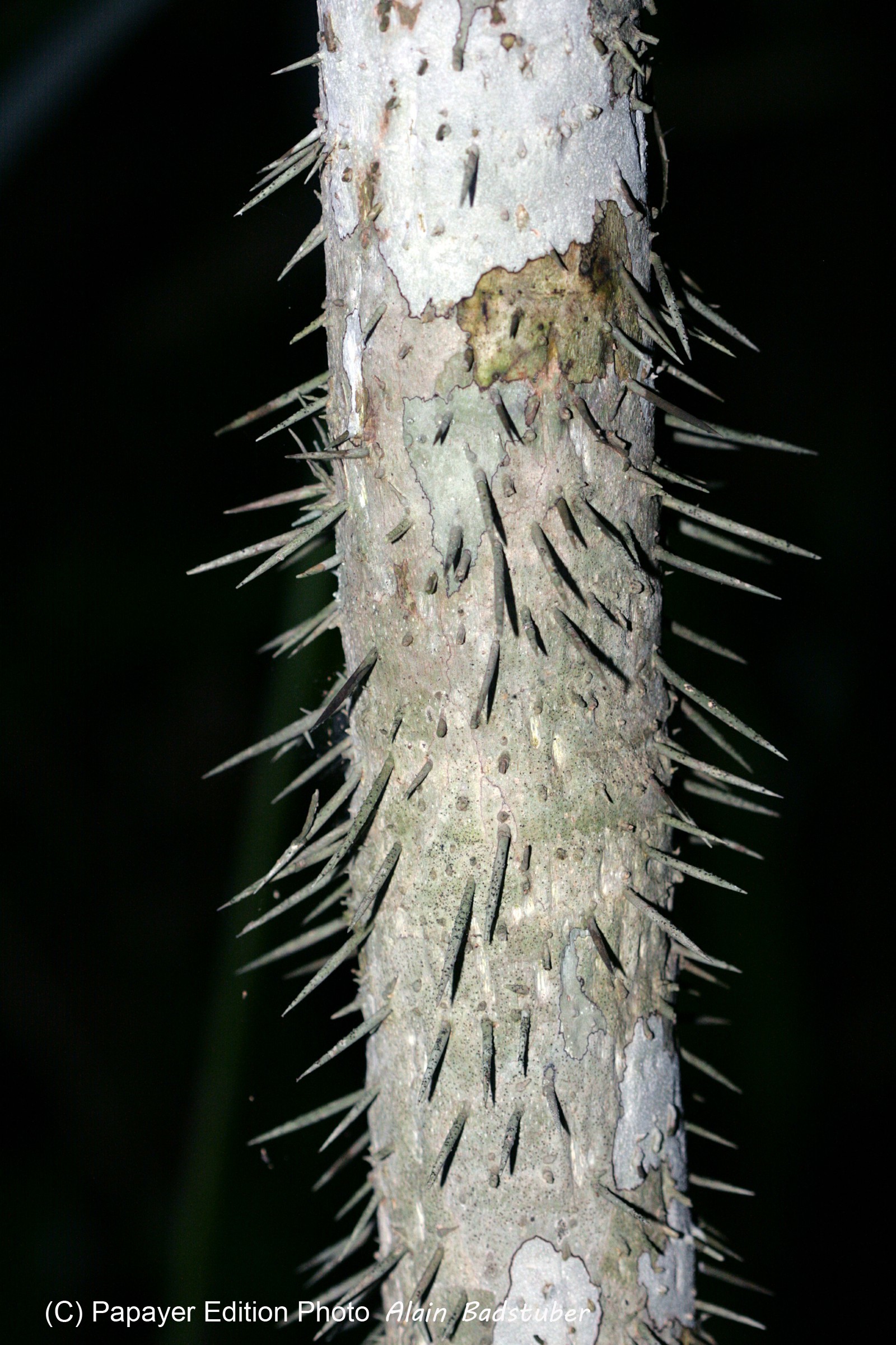 Images_Belize_2011_287