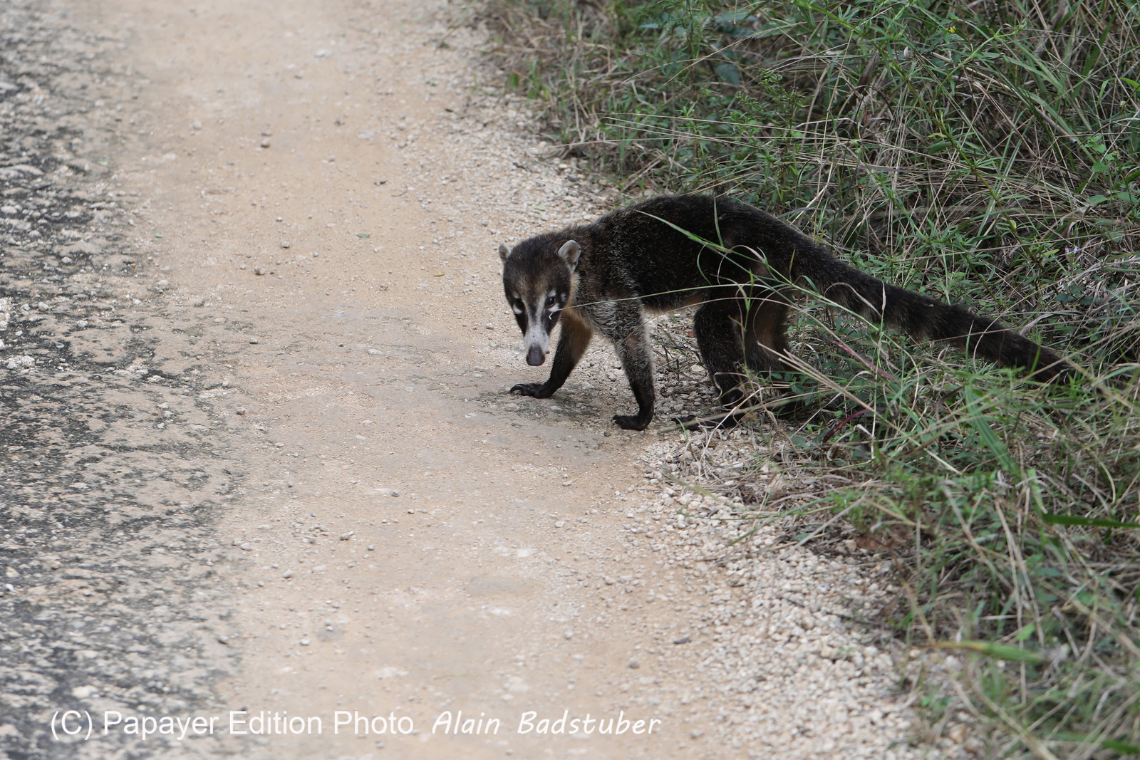 Deuxième séjour à Sarteneja, Bélize, Novembre - Décembre 2021