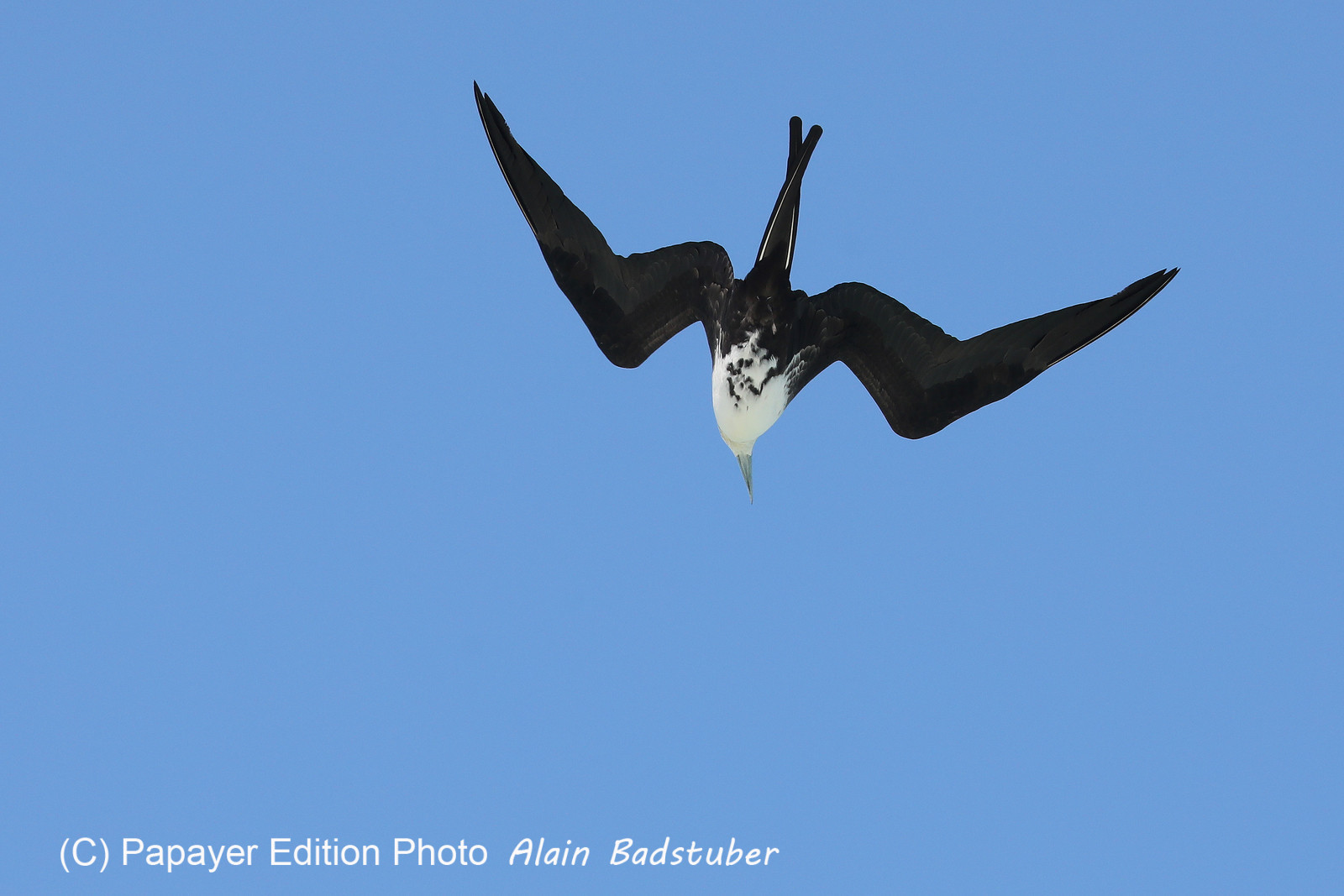 Deuxième séjour à Sarteneja, Bélize, Novembre - Décembre 2021