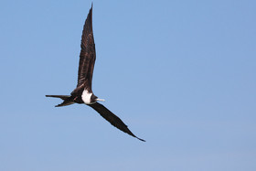 Deuxième séjour à Sarteneja, Bélize, Novembre - Décembre 2021