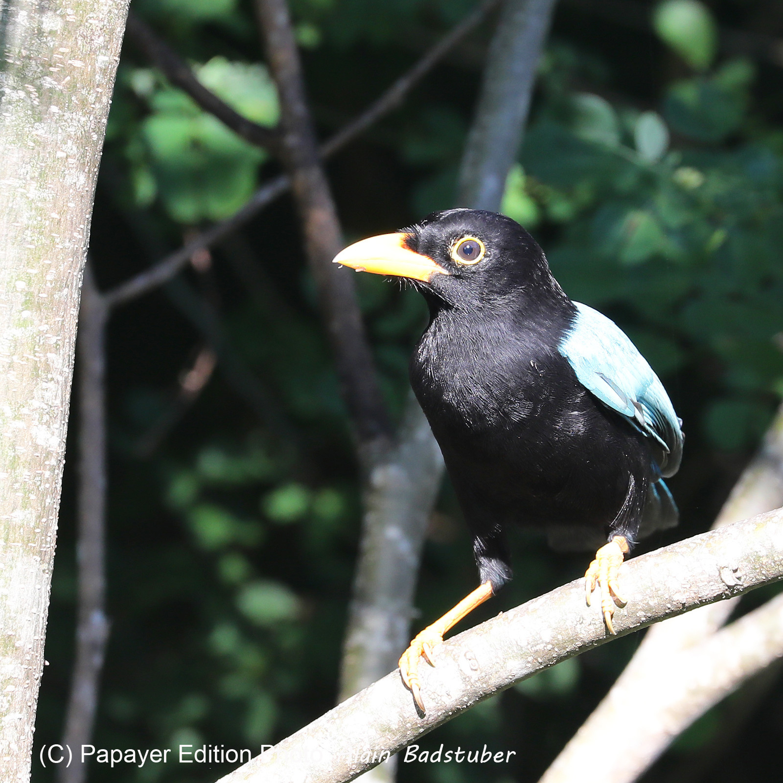 Deuxième séjour à Sarteneja, Bélize, Novembre - Décembre 2021