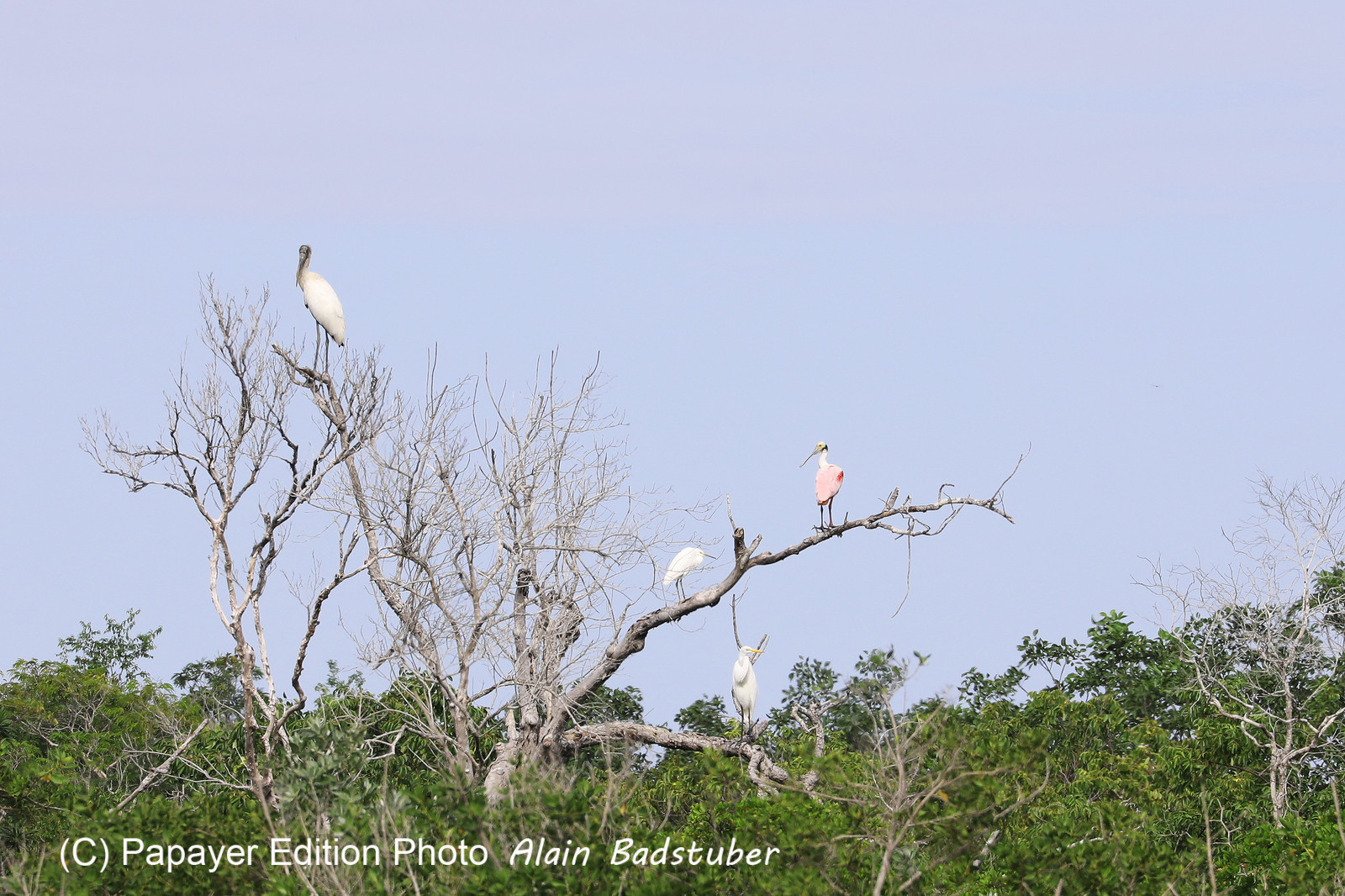 Deuxième séjour à Sarteneja, Bélize, Novembre - Décembre 2021