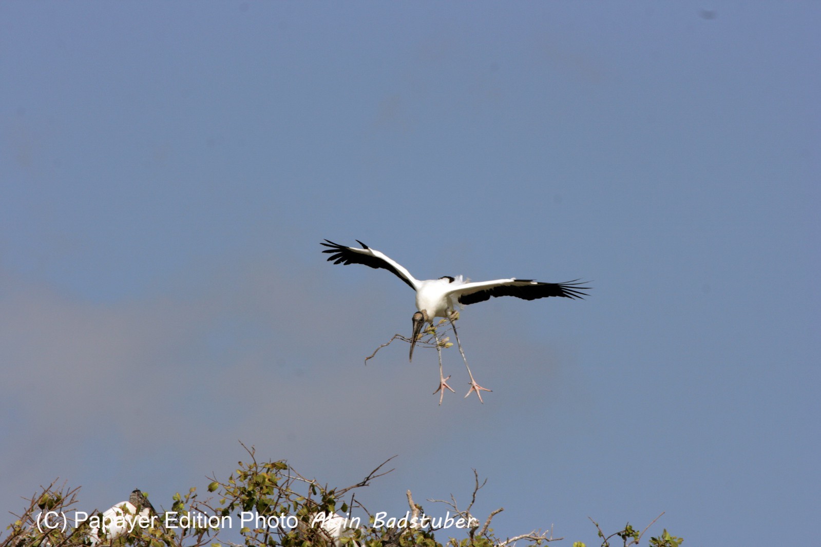 Images_Belize_2011_095