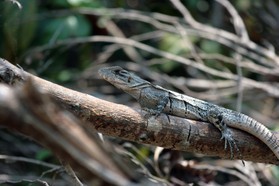 Images_Belize_2011_398