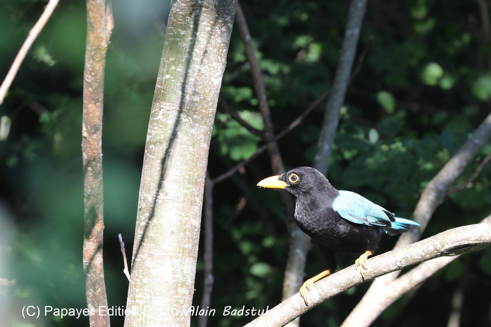 Deuxième séjour à Sarteneja, Bélize, Novembre - Décembre 2021