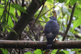 Parque Natural Metropolitano