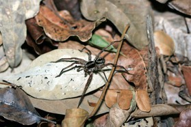 Images_Belize_2011_288