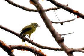 Punta Culebra Nature Center
