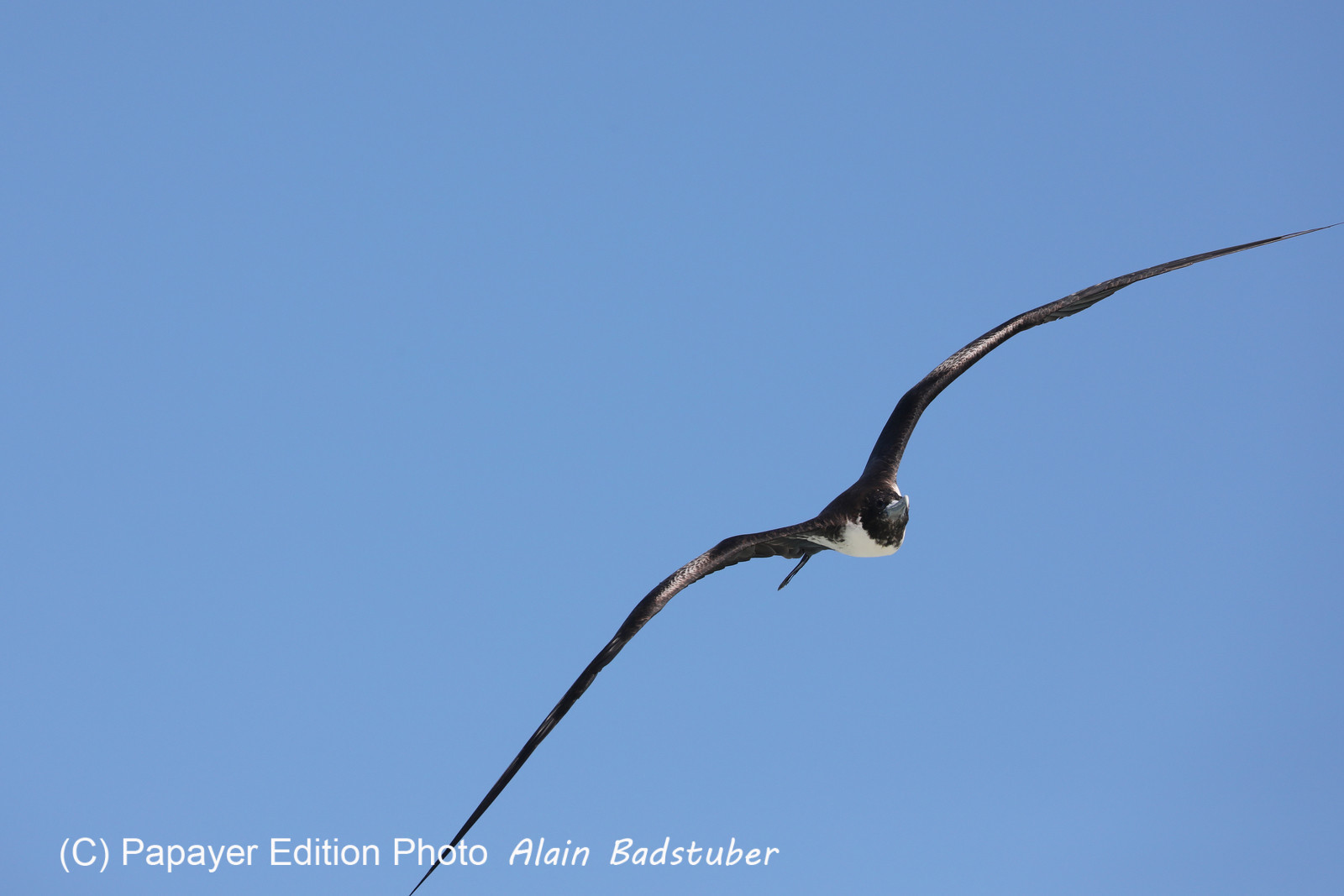 Deuxième séjour à Sarteneja, Bélize, Novembre - Décembre 2021