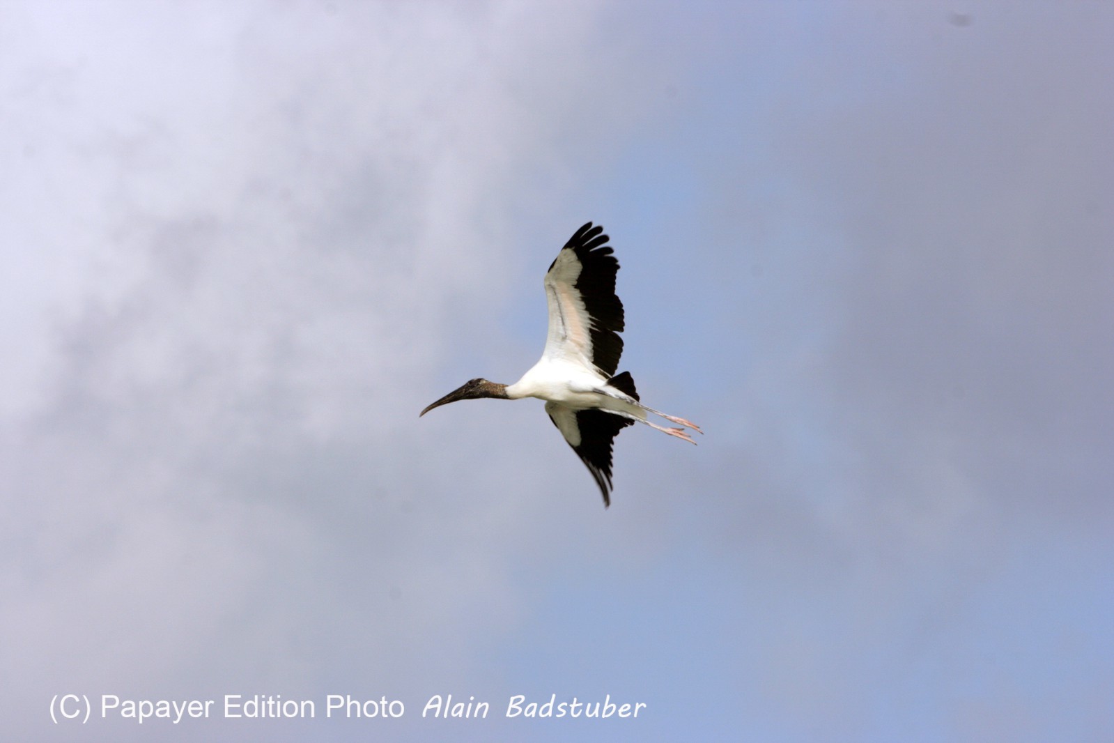 Images_Belize_2011_104