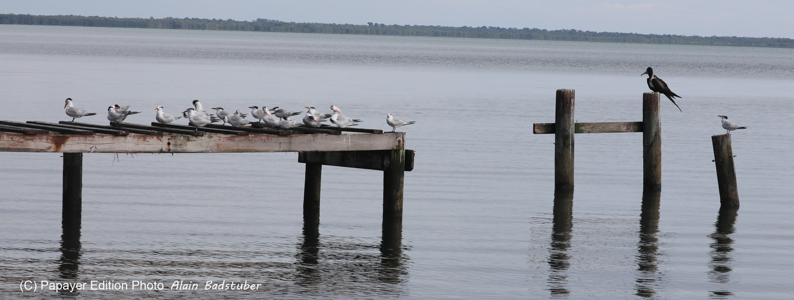 Hopkins, Octobre-Novembre 2021