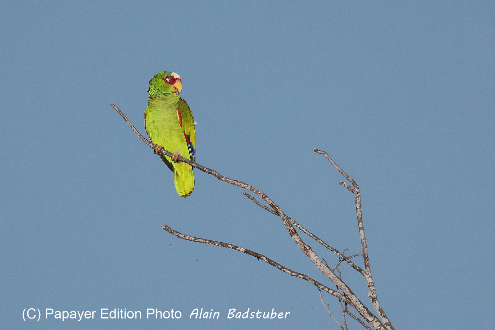 Deuxième séjour à Sarteneja, Bélize, Novembre - Décembre 2021