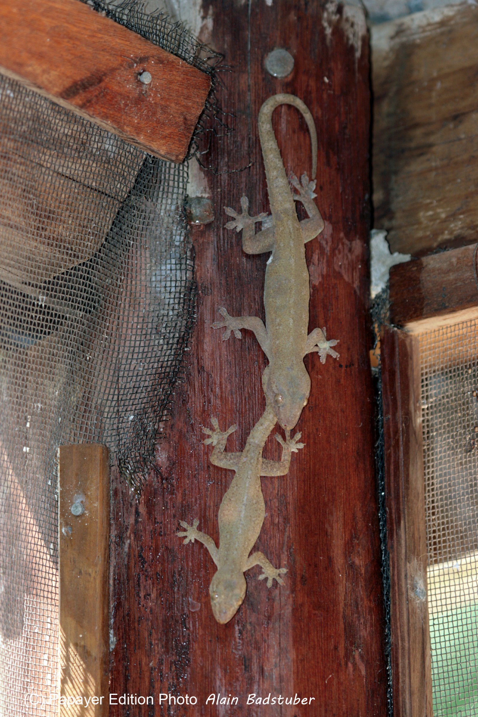 Images_Belize_2011_400