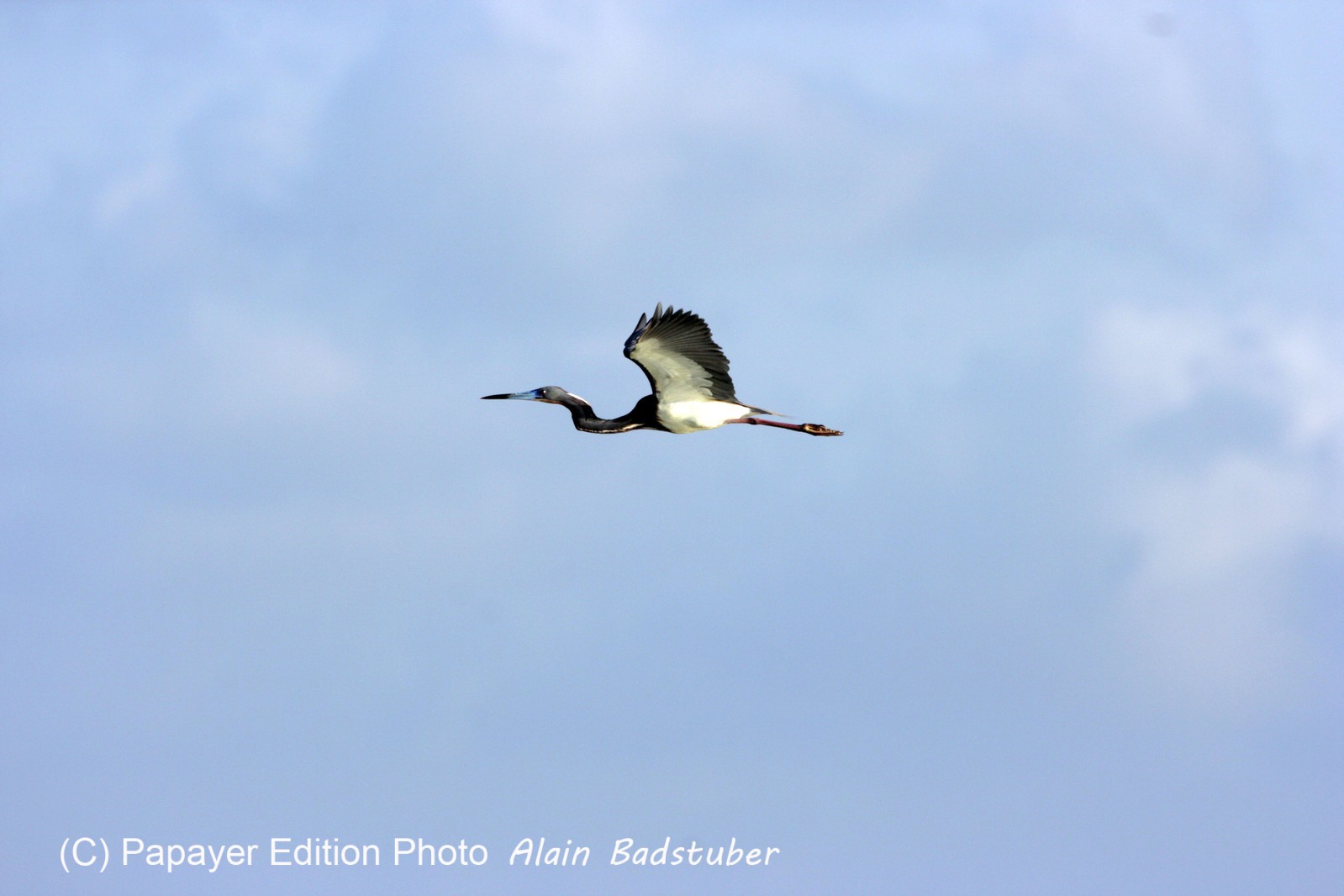 Images_Belize_2011_213