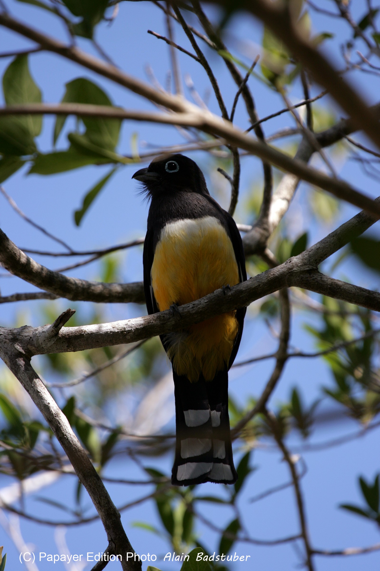 Images_Belize_2011_050