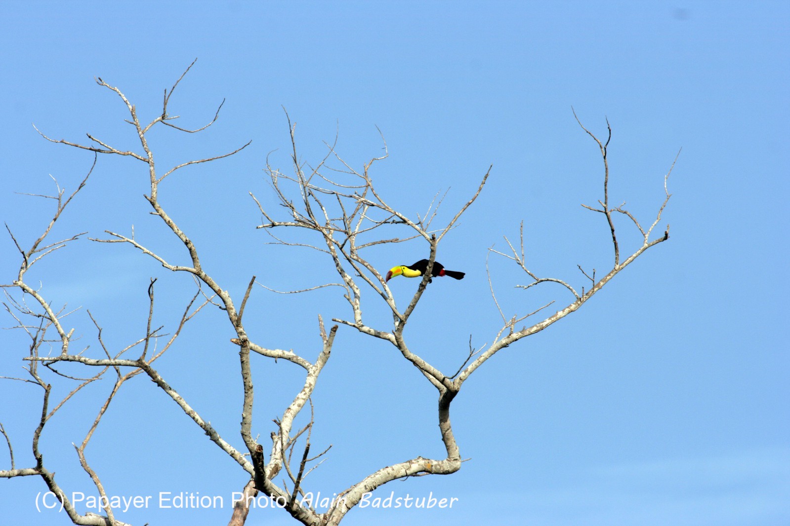 Images_Belize_2011_073