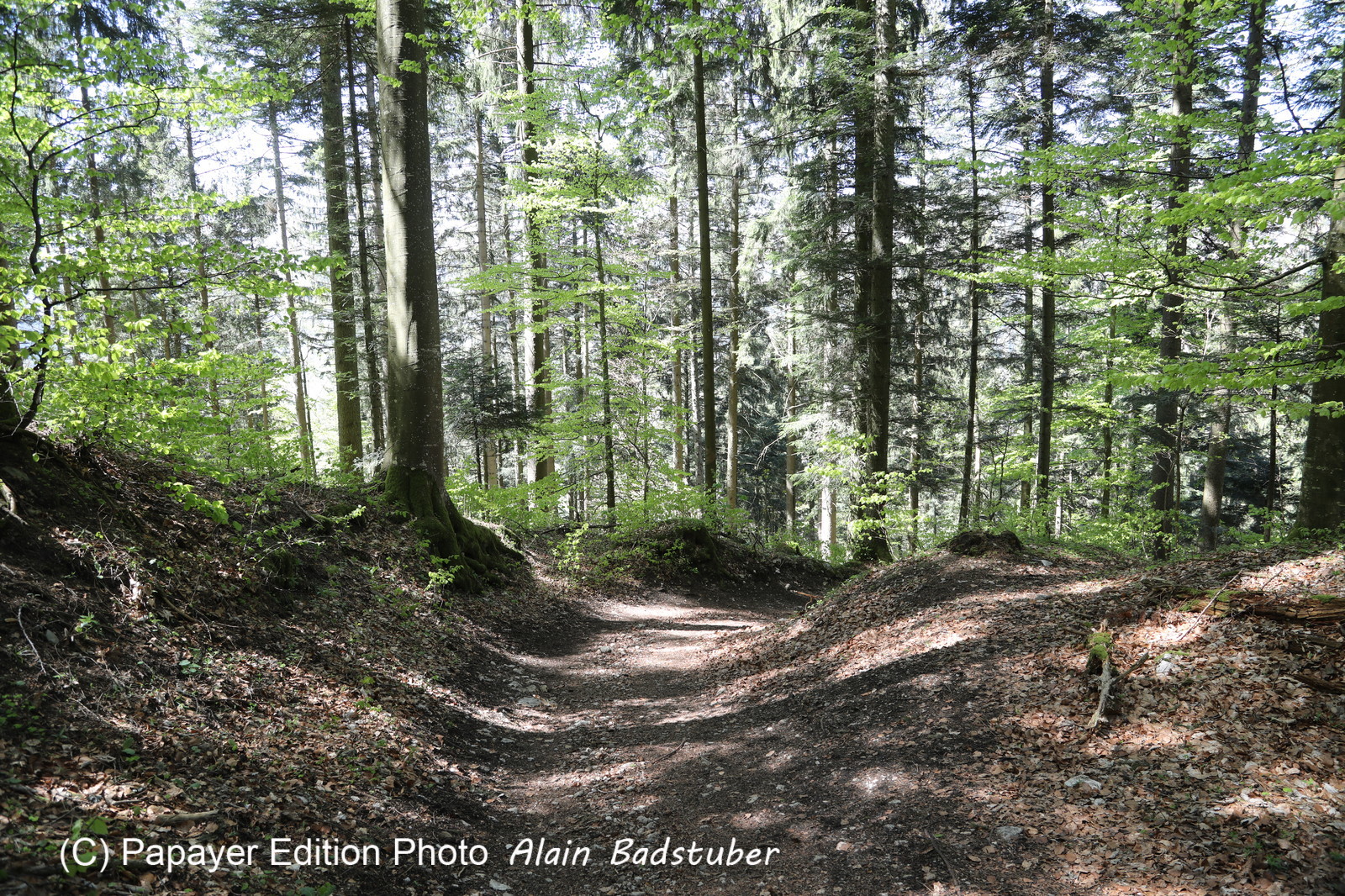 Ma balade du premier mai 2019