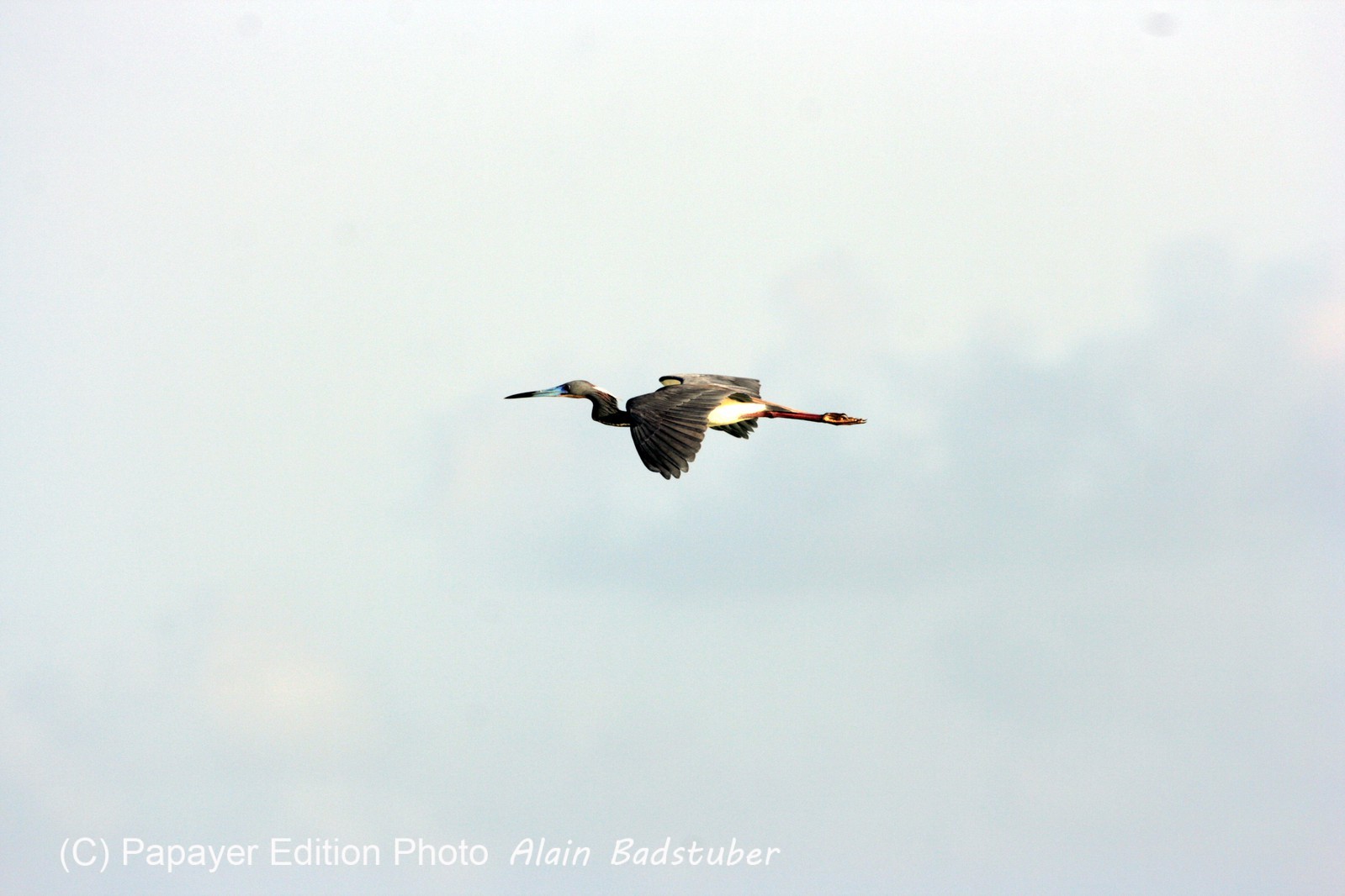 Images_Belize_2011_214