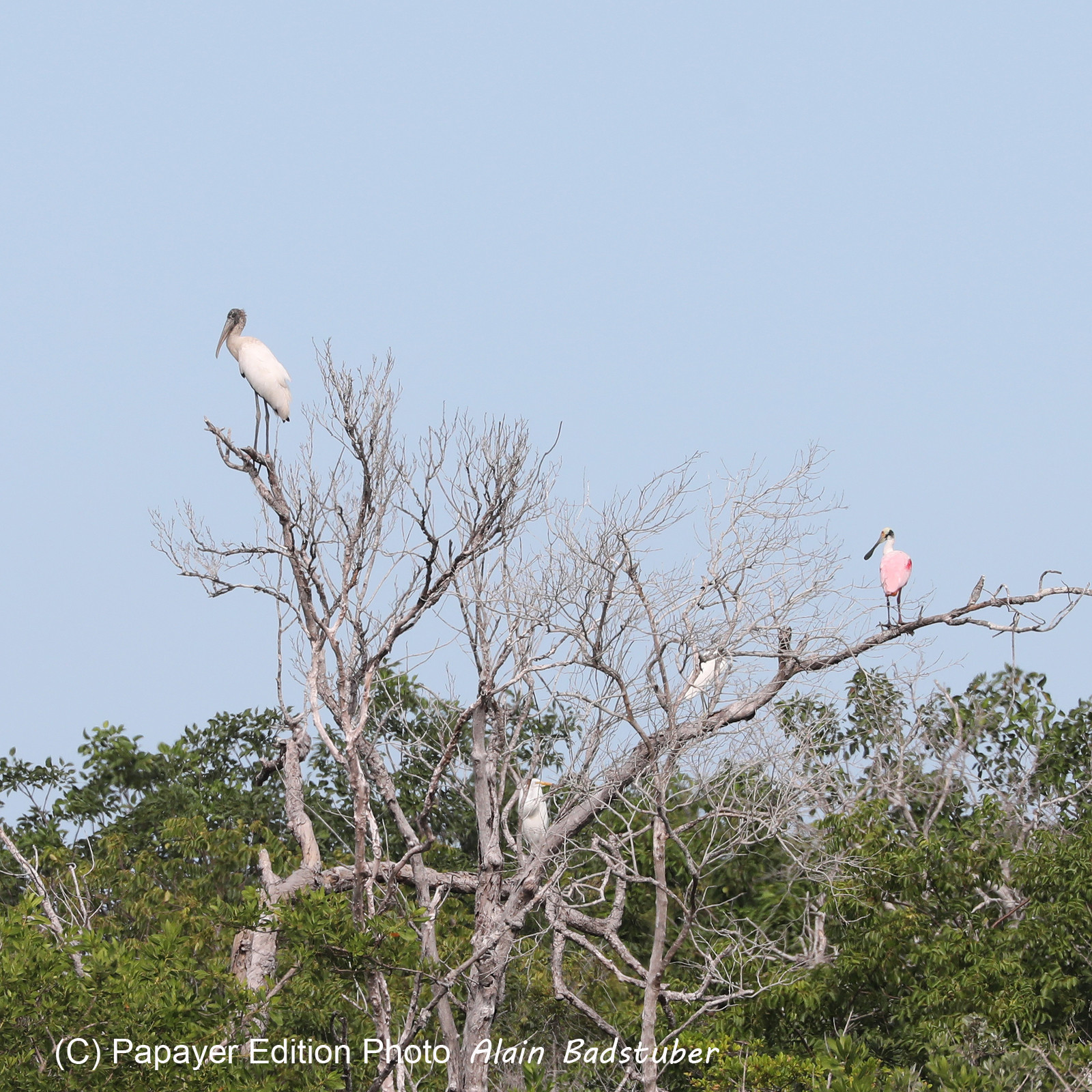 Deuxième séjour à Sarteneja, Bélize, Novembre - Décembre 2021