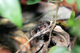 Images_Belize_2011_285