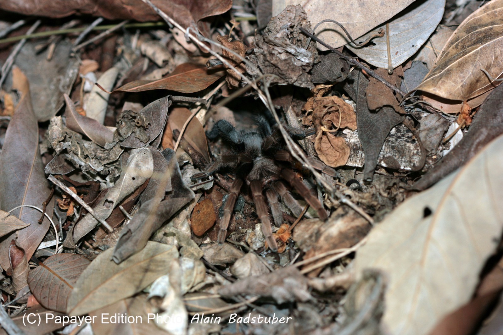 Images_Belize_2011_331