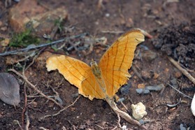 Images_Belize_2011_034