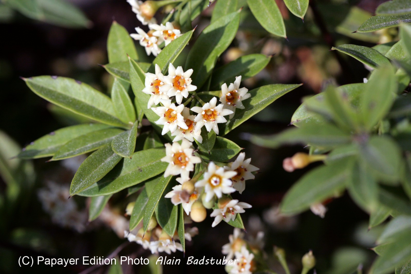 Images_Belize_2011_266