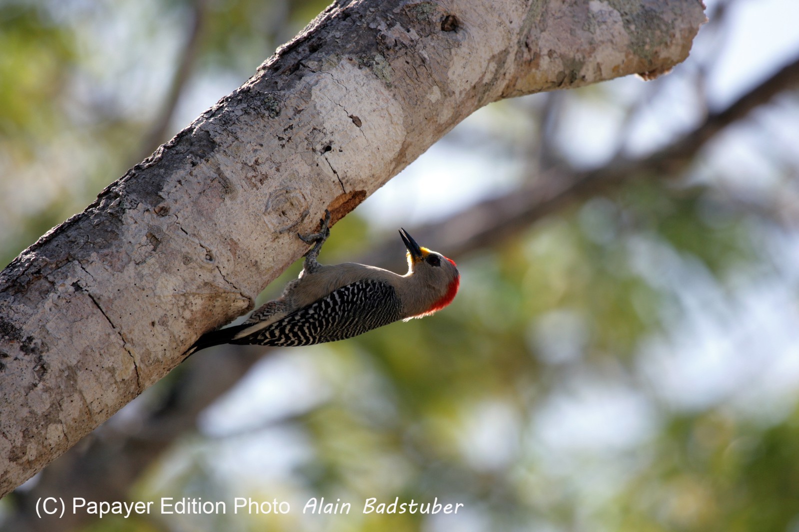 Images_Belize_2011_056
