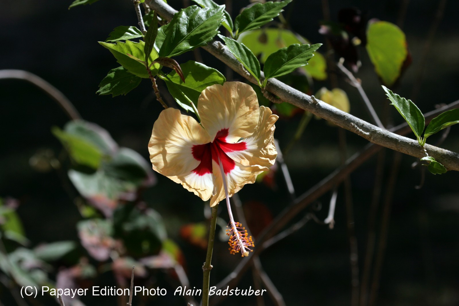 Images_Belize_2011_051