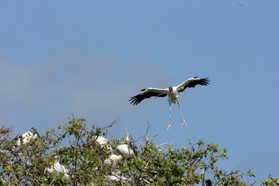 Images_Belize_2011_092