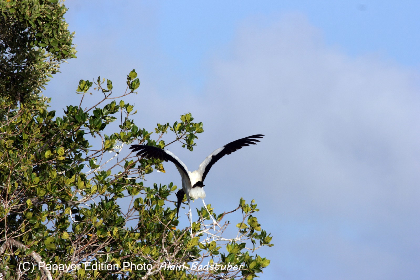 Images_Belize_2011_209