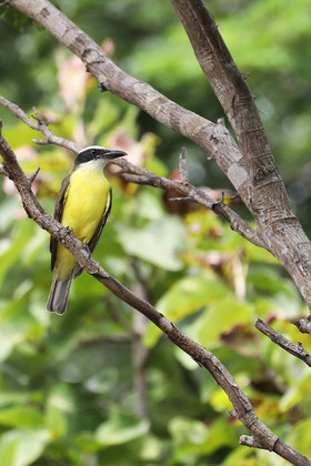 Deuxième séjour à Sarteneja, Bélize, Novembre - Décembre 2021