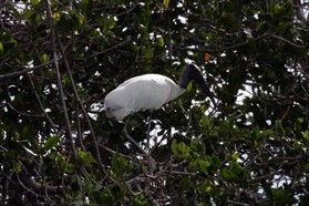 Images_Belize_2011_111