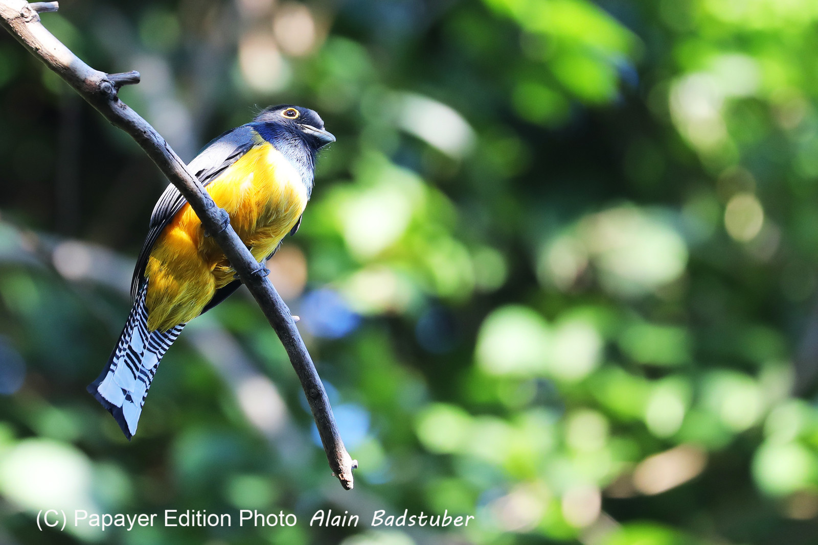 Deuxième séjour à Sarteneja, Bélize, Novembre - Décembre 2021