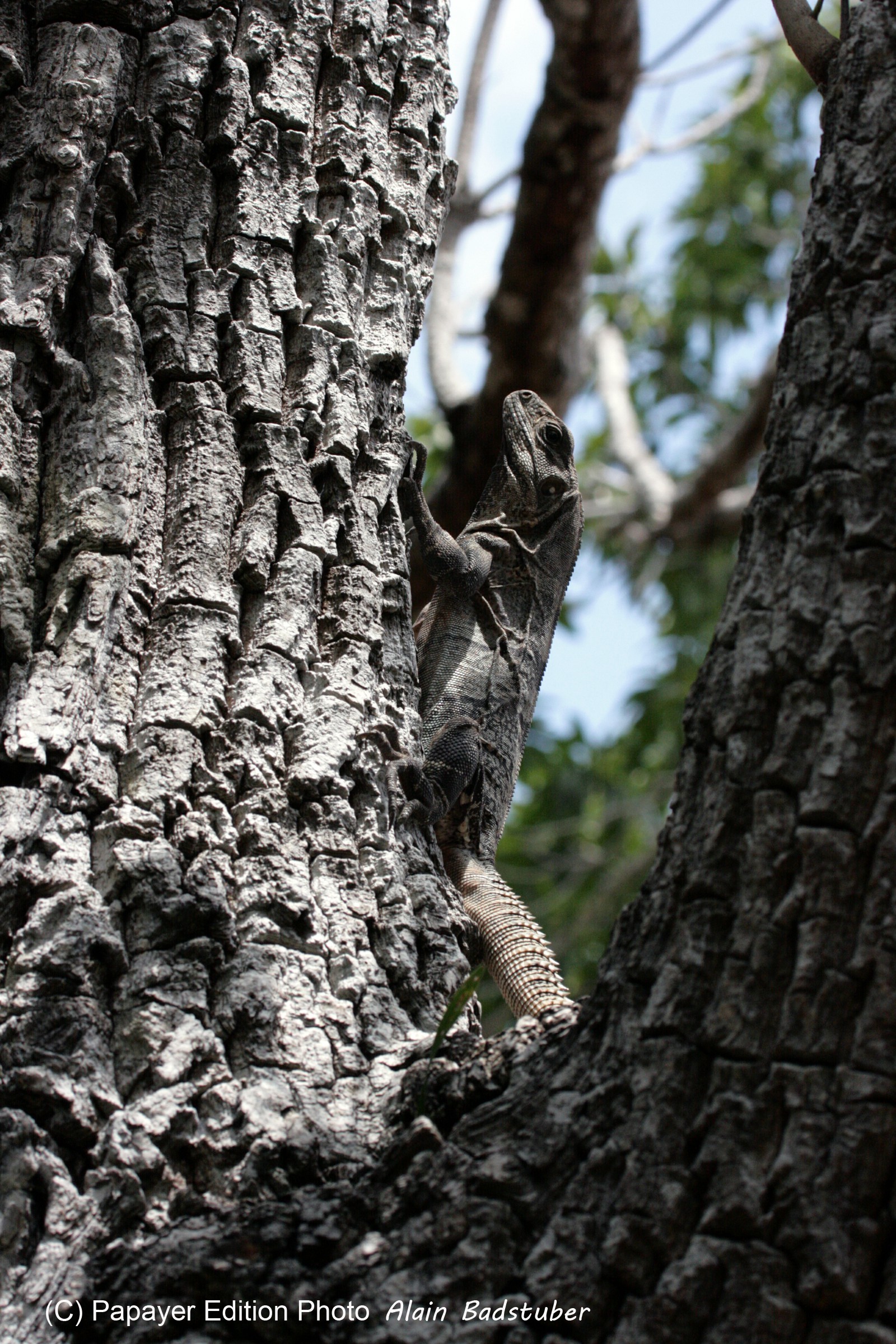 Images_Belize_2011_168
